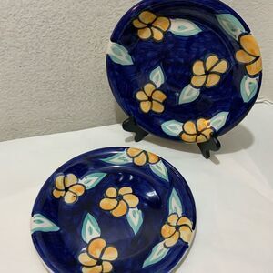 Style Eyes by Baum Bros - Flower Power Collection set of 2 dinner plates 10 3/8”
